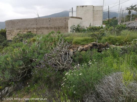 PARCELA URBANA EN GÜÍMAR- TENERIFE - SANTA CRUZ DE TENERIFE