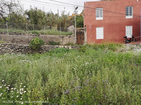 PARCELA URBANA EN GÜÍMAR- TENERIFE - SANTA CRUZ DE TENERIFE