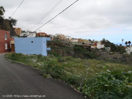 PARCELA URBANA EN GÜÍMAR- TENERIFE - SANTA CRUZ DE TENERIFE