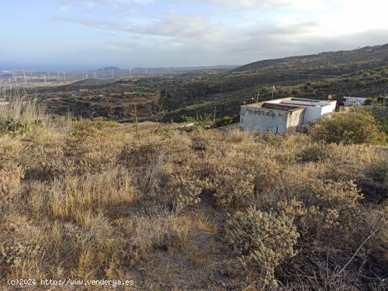 TERRENO EDIFICABLE EN FASNIA, TENERIFE - SANTA CRUZ DE TENERIFE