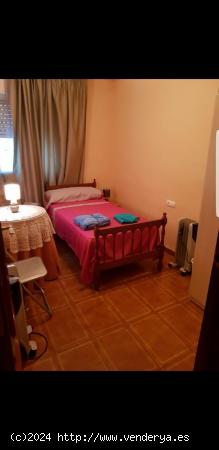 VENTA VIVIENDA DE TRES DORMITORIOS EN PLAZA MAYOR - MURCIA