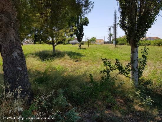 ESTUPENDA PARCELA  DE 1800M EN ZONA DE LOS RAMOS/TORREAGUERA - MURCIA