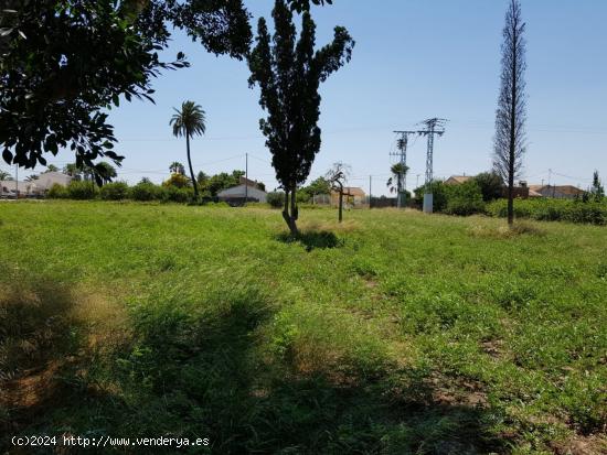 ESTUPENDA PARCELA  DE 1800M EN ZONA DE LOS RAMOS/TORREAGUERA - MURCIA