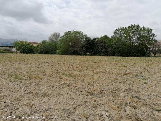 Se vende terreno rustico en Patiño - MURCIA