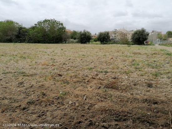 Se vende terreno rustico en Patiño - MURCIA