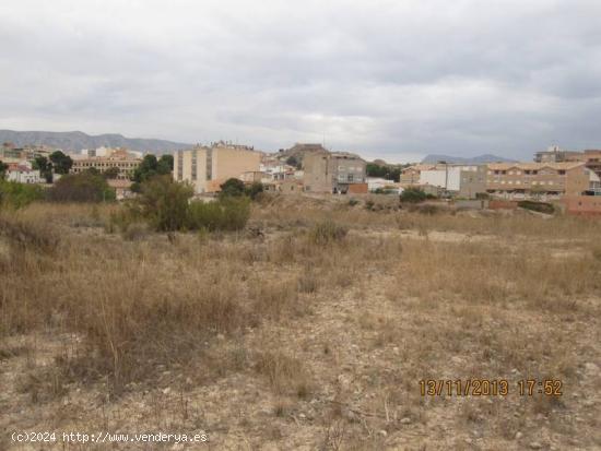 12000 METROS DE TERRENO RUSTICO EN CANTARRANES - ALICANTE