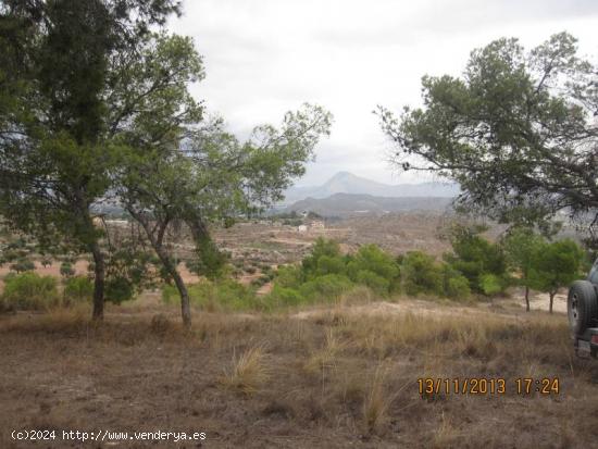 36500 METROS DE TERRENO EL LA SERRA LA VELLA - ALICANTE