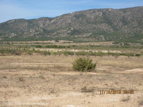 MAGNIFICO TERRENO PARA CONSTRUIR CHALET - ALICANTE