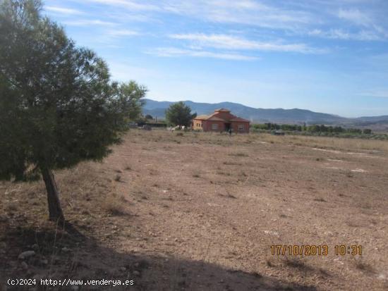 TERRENO DE 9000 METROS EN LA HERETAT - ALICANTE