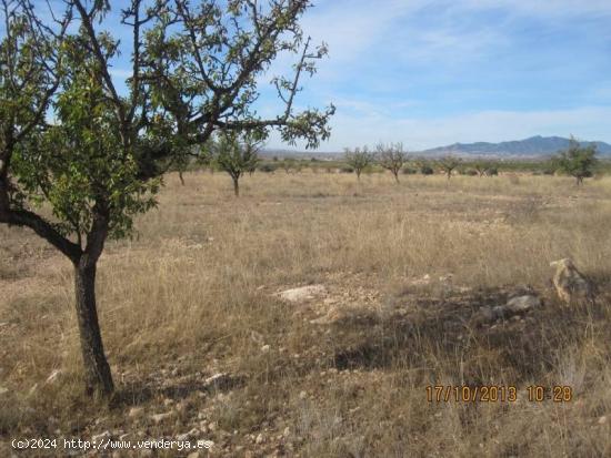 TERRENO DE 9000 METROS EN LA HERETAT - ALICANTE