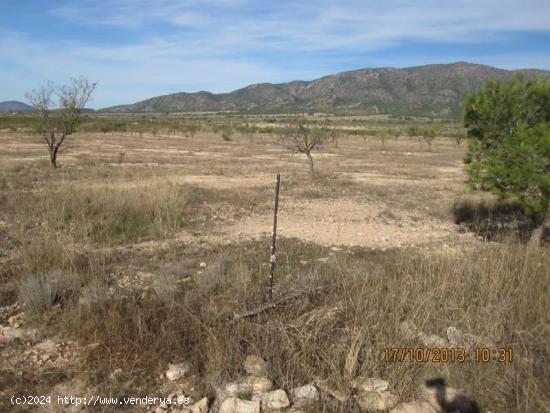 TERRENO DE 9000 METROS EN LA HERETAT - ALICANTE