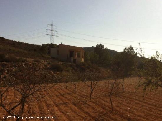 FINCA CON CASA REFORMADA Y BODEGA EN EL SEMISOTANO - ALICANTE