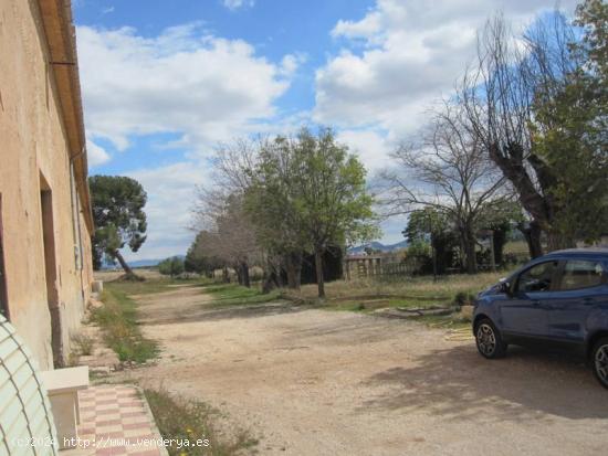 Caserón con bodega antigua y tierras - ALICANTE