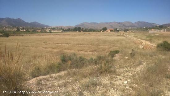 TERRENO PARCELA 10000 METROS - ALICANTE