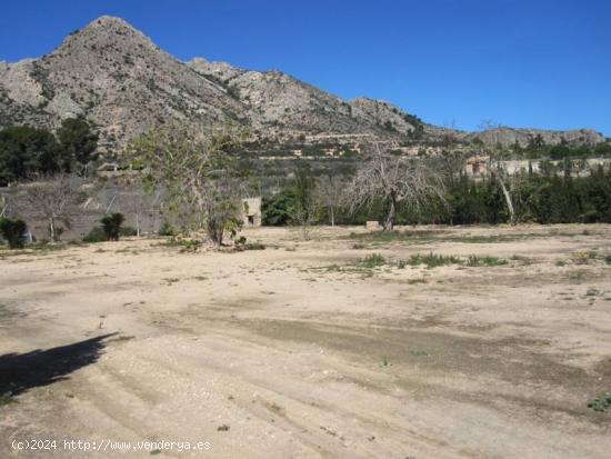 TERENO RURAL A LAS FALDAS DE LA MONTAÑA - ALICANTE