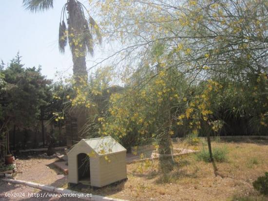 CHALET EN LAS SALINETAS CERCA DEL CLOT DE LA SAL - ALICANTE