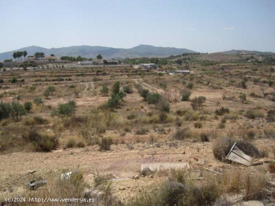  TERRENO RUSTICO - ALICANTE 