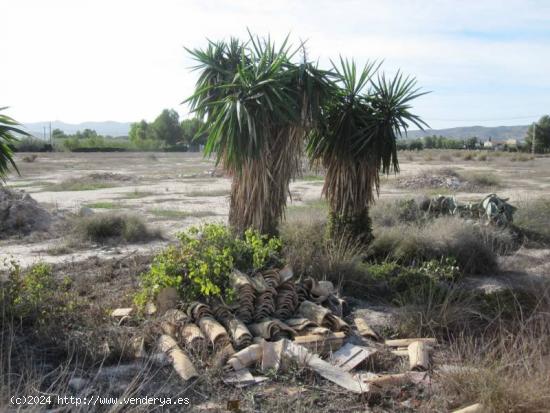 TERRENO CON CONSTRUCCION - ALICANTE