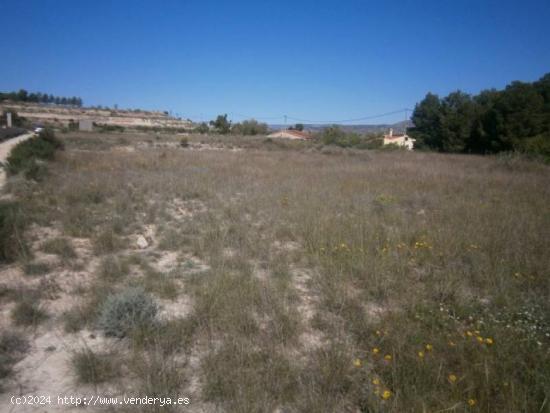 TERRENO RUSTICO EN MUY BUENA ZONA - ALICANTE