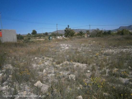 TERRENO RUSTICO EN MUY BUENA ZONA - ALICANTE