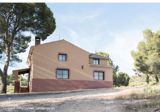 Finca Rustica cultivada de ecológico y caza mayor - ALBACETE