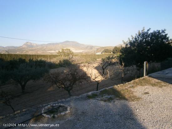 CASA DE CAMPO EN MONOVAR - ALICANTE