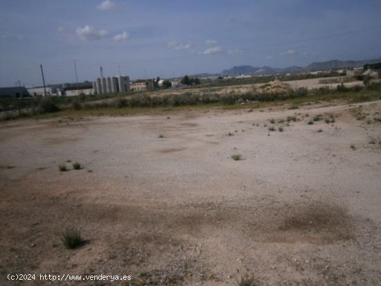  PARCELA DE TERRENO EN EL POLIGONO INDUSTRIAL - ALICANTE 