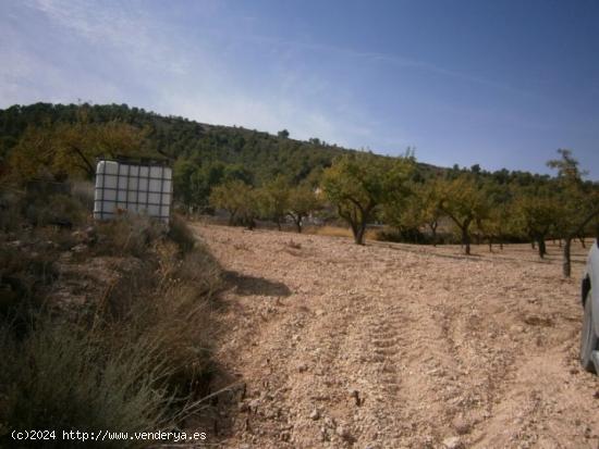 TERRENO EN HONDON  DE LAS NIEVES - ALICANTE