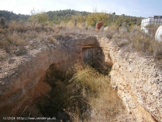 TERRENO EN HONDON  DE LAS NIEVES - ALICANTE