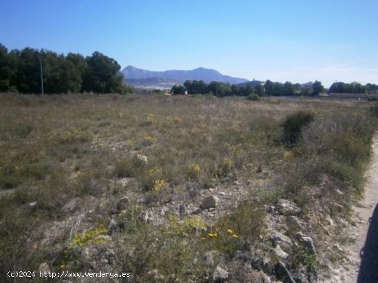  Parcela de terreno - ALICANTE 