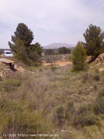  TERRENO EN MONOVAR - ALICANTE 