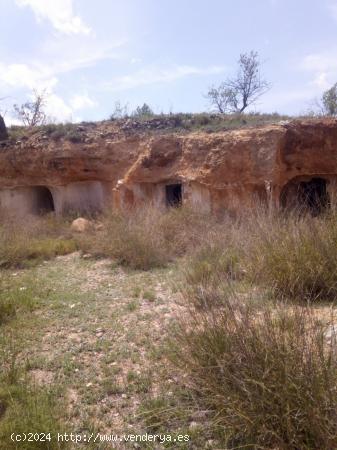 TERRENO EN MONOVAR - ALICANTE