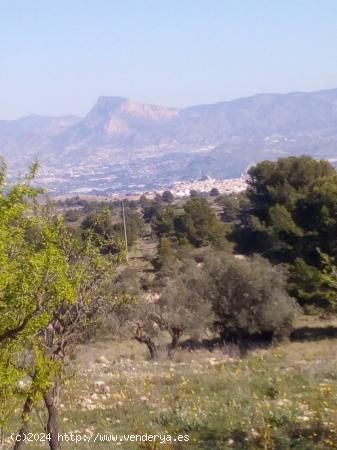 TERRENO URBANIZABLE - ALICANTE