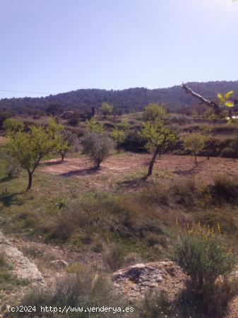  TERRENO URBANIZABLE - ALICANTE 