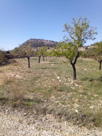 TERRENO URBANIZABLE - ALICANTE