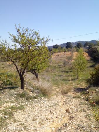 TERRENO URBANIZABLE - ALICANTE