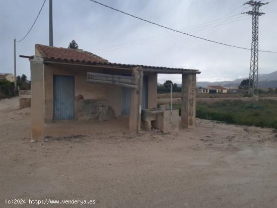  Parcela de terreno en el campet - ALICANTE 