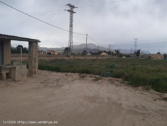 Parcela de terreno en el campet - ALICANTE