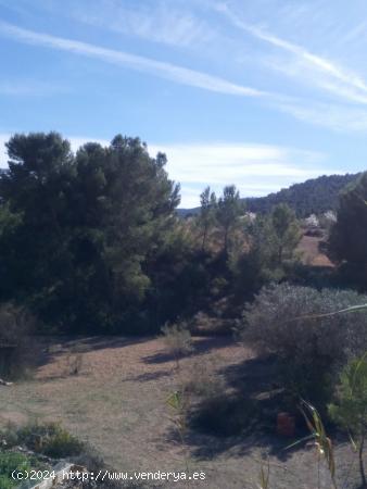 TERRENO EN COLLADO VICTORIANO - ALICANTE