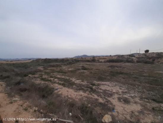 Terreno Rural - ALICANTE