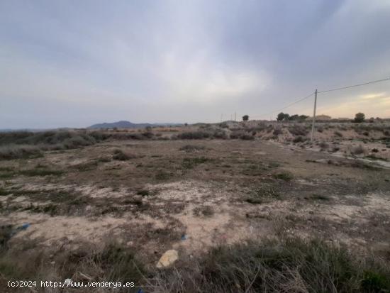 Terreno Rural - ALICANTE