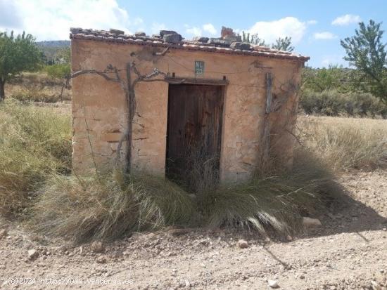  Se vende terreno de 16000 metros - ALICANTE 