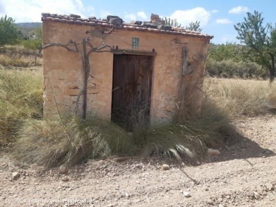 Se vende terreno de 16000 metros - ALICANTE