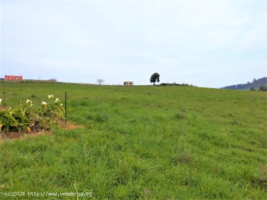 Finca rústica en venta en calle el Montonorio, Miengo - CANTABRIA