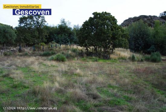 TERRENO JUNTO AL CASCO URBANO - CACERES