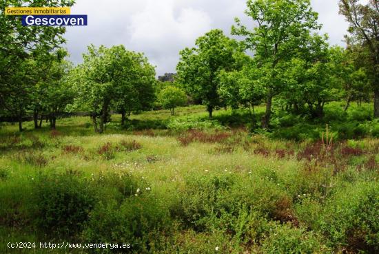 VENTA FINCA RÚSTICA - CACERES