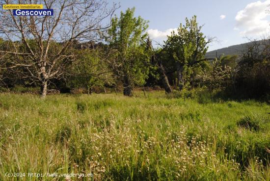 MARAVILLOSA PARCELA RÚSTICA LIMÍTROFE CON RÍO, POSIBILIDAD DE AGUA Y LUZ - CACERES