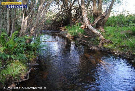 MARAVILLOSA PARCELA RÚSTICA LIMÍTROFE CON RÍO, POSIBILIDAD DE AGUA Y LUZ - CACERES