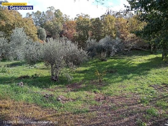 Finca rustica 7.000 m2 - CACERES