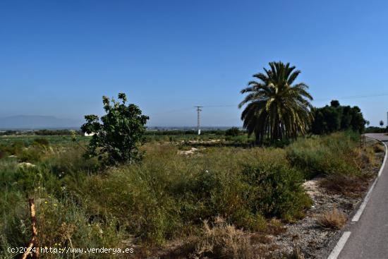 Parcela en carretera EL MOLAR junto a ermita San Francisco de Asis - ALICANTE